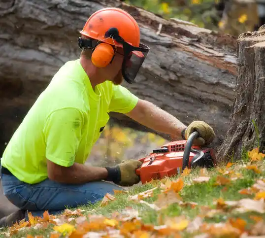 tree services Thibodaux